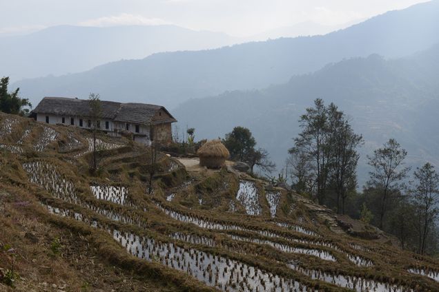 Maison et rizières au Népal