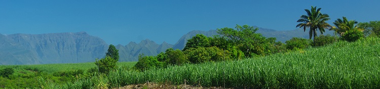 Préparation raid VTT à la Réunion