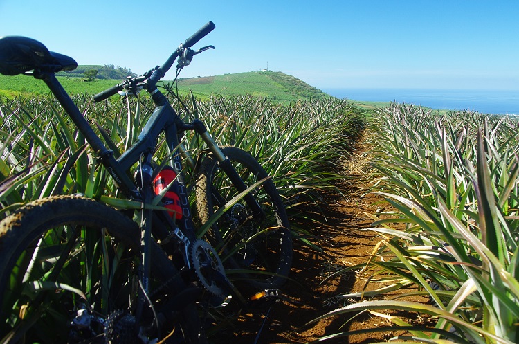 Préparation raid VTT à la Réunion